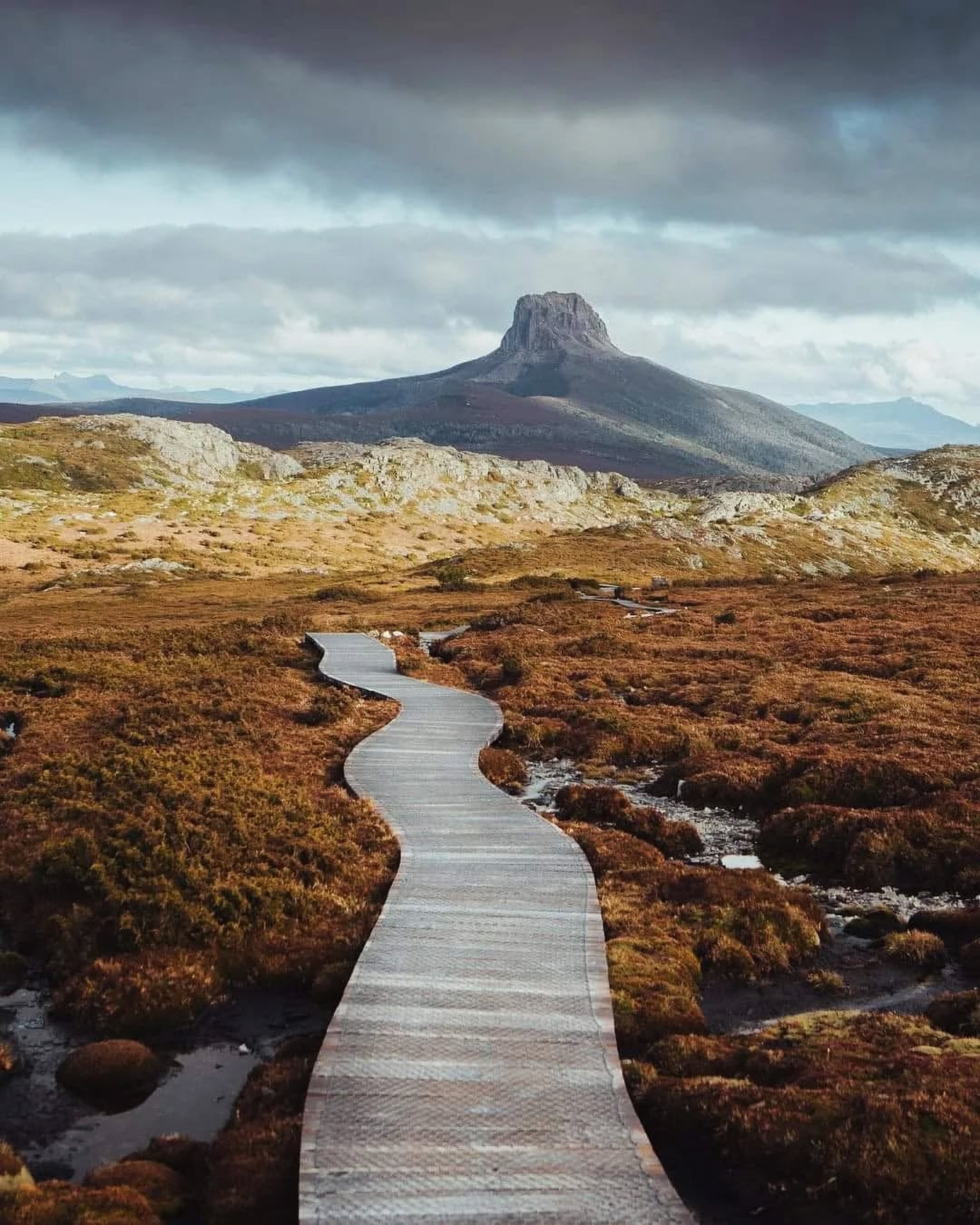 Boardwalk crossing alpine moorland towards Barn Bluff on the Overland Track