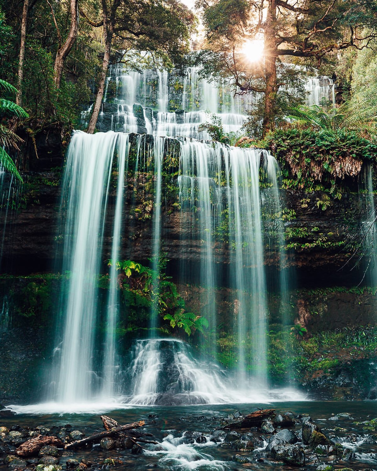 Russell Falls flowing through rainforest in Mount Field National Park