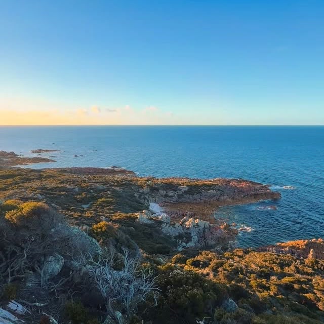 Rocky coastline and blue water in Rocky Cape National Park