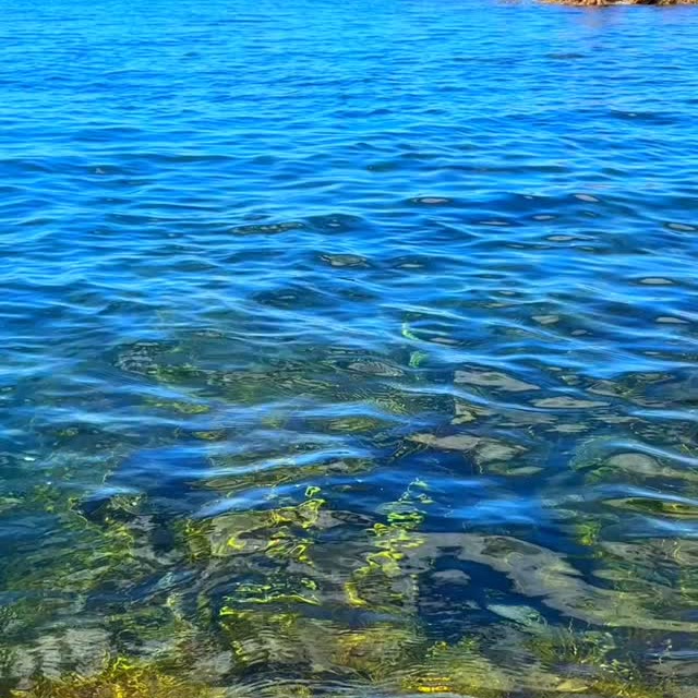 Clear blue coastal water at Rocky Cape National Park