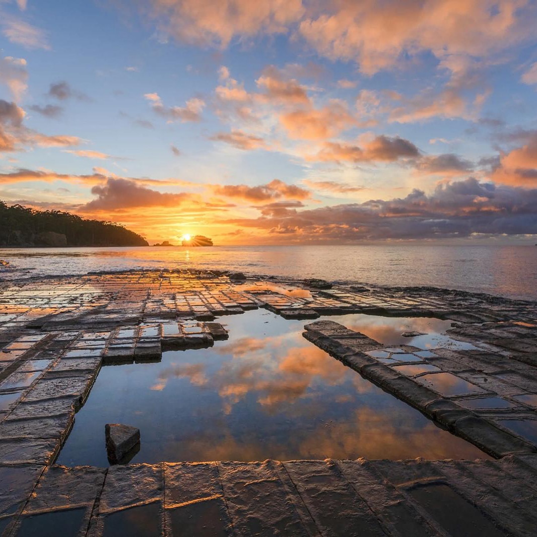 Tessellated Pavement at Eaglehawk Neck reflecting sunrise light at low tide